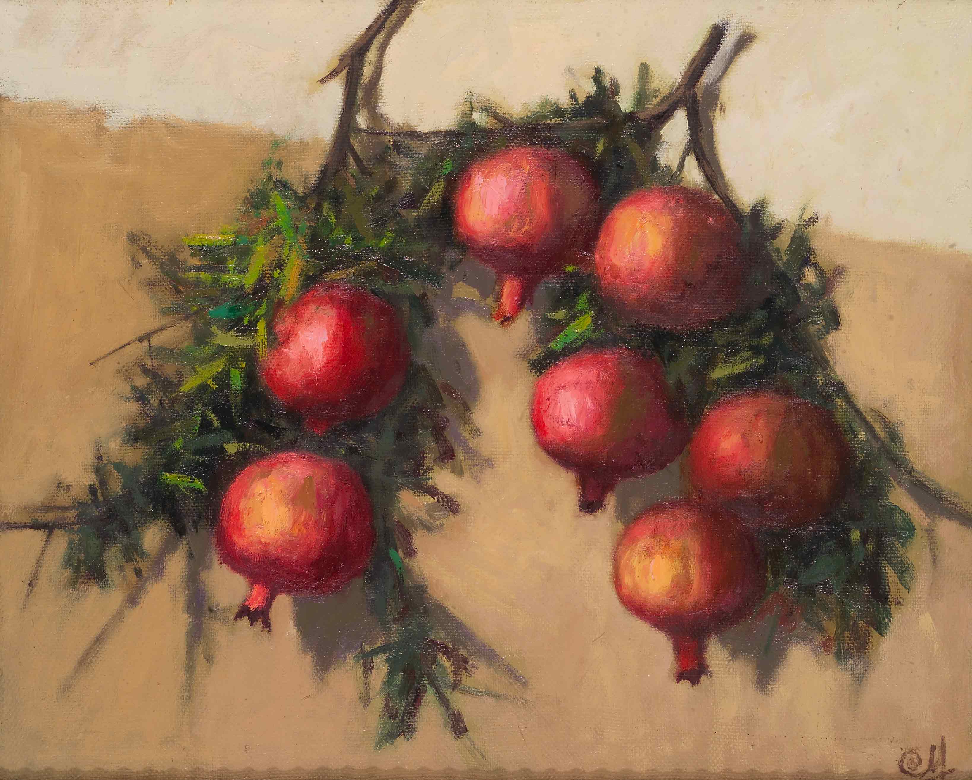 Pomegranate sprig